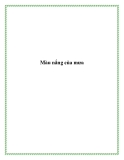 Màu nắng của mưa