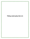 Những mảnh ghép tình yêu