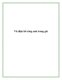 Vũ điệu bồ công anh trong gió