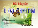 Đạo đức sinh thái