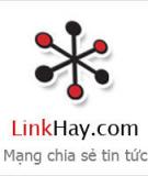Cách kiếm backlink và traffic từ Linkhay.com đơn giản và hiệu quả