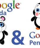 Google Panda và Penguin qua hình ảnh