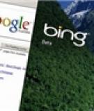 So sánh Google và Bing: cuộc chiến dần cân sức