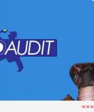 Dịch vụ seo audit, phân tích tổng thể webiste của bạn