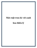 Mát ruột trưa hè với canh hoa thiên lý