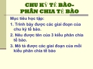 Chu kỳ tế bào- phân chia tế bào