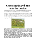 Chiêm ngưỡng vẻ đẹp mùa thu London