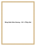 Bóng hình thân thương – Kì 1