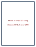 Attach cơ sở dữ liệu trong Microsoft SQL Server 2008.