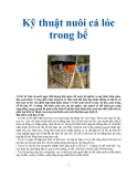 Kỹ thuật nuôi cá lóc trong bể