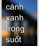 Cánh Xanh Trong Suốt