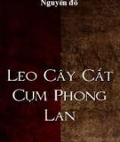 Leo Cây Cắt Cụm Phong Lan