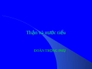 Thận và nước tiểu