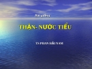 Thận - nước tiểu