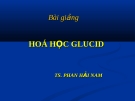 Bài giảng: Hoá học Glucid (TS. Phan Hải Nam)