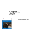 File Routing Protocols and Concepts: Chapter 11