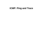 ICMP: Ping and Trace