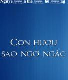 Con Hươu Sao Ngơ Ngác