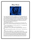 Blue Rose