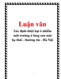 Đề án kinh tế môi trường: Xác định thiệt hại ô nhiễm môi trường ở làng sơn mài Hạ Thái - Thường Tín - Hà Nội