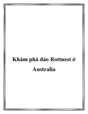 Khám phá đảo Rottnest ở Australia