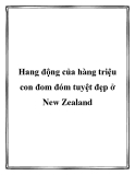 Hang động của hàng triệu con đom đóm tuyệt đẹp ở New Zealand.Đến New Zealand, du khách gần xa không thể bỏ qua điểm du lịch hang động đom đóm Waitomo lung linh với hàng triệu con đom đóm phát quang tỏa ánh sáng tuyệt đẹp