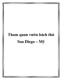 Tham quan vườn bách thú San Diego – Mỹ