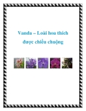 Vanda – Loài hoa thích được chiều chuộng