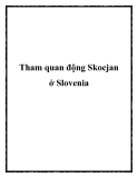 Tham quan động Skocjan ở Slovenia