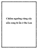 Chiêm ngưỡng rừng cây uốn cong bí ẩn ở Ba Lan