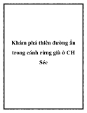 Khám phá thiên đường ẩn trong cánh rừng già ở CH Séc