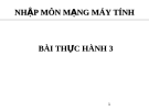 NHẬP MÔN MẠNG MÁY TÍNH - BÀI THỰC HÀNH 3