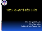 TỔNG QUAN VỀ BẢO HIỂM - Ths Bùi Quỳnh Anh