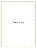 Ông Già Ở Agra