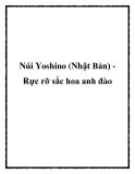 Núi Yoshino (Nhật Bản) Rực rỡ sắc hoa anh đào