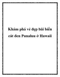 Khám phá vẻ đẹp bãi biển cát đen Punaluu ở Hawaii