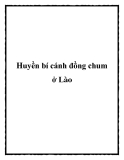 Huyền bí cánh đồng chum ở Lào