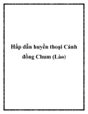 Hấp dẫn huyền thoại Cánh đồng Chum (Lào)