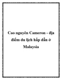 Cao nguyên Cameron - địa điểm du lịch hấp dẫn ở Malaysia