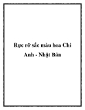 Rực rỡ sắc màu hoa Chi Anh - Nhật Bản