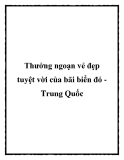 Thưởng ngoạn vẻ đẹp tuyệt vời của bãi biển đỏ Trung Quốc