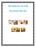 Tận dụng bìa các-tông làm bonsai độc đáo