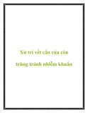 Xử trí vết cắn của côn trùng tránh nhiễm khuẩn