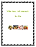 Nhận dạng thủ phạm gây lão hóa