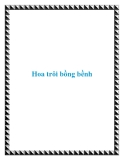 Hoa trôi bồng bềnh