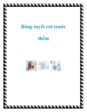 Bông tuyết rơi trước thềm