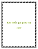 Kho thuốc quý giá từ 'nụ cười'