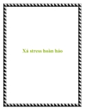 Xả stress hoàn hảo