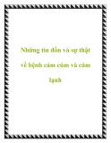 Những tin đồn và sự thật về bệnh cảm cúm và cảm lạnh