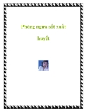 Phòng ngừa sốt xuất huyết